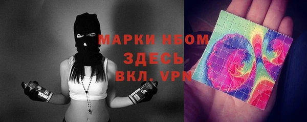 сатива Абаза
