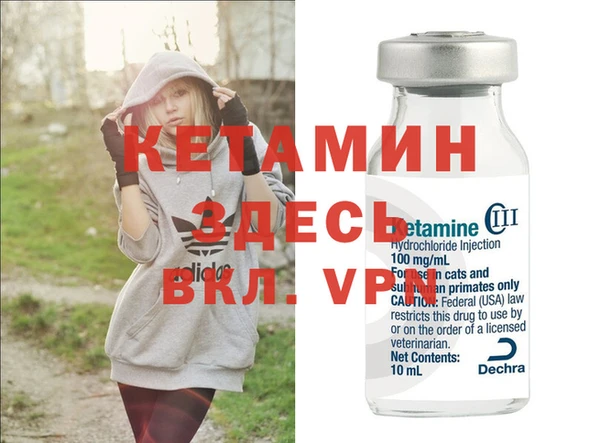 сатива Абаза