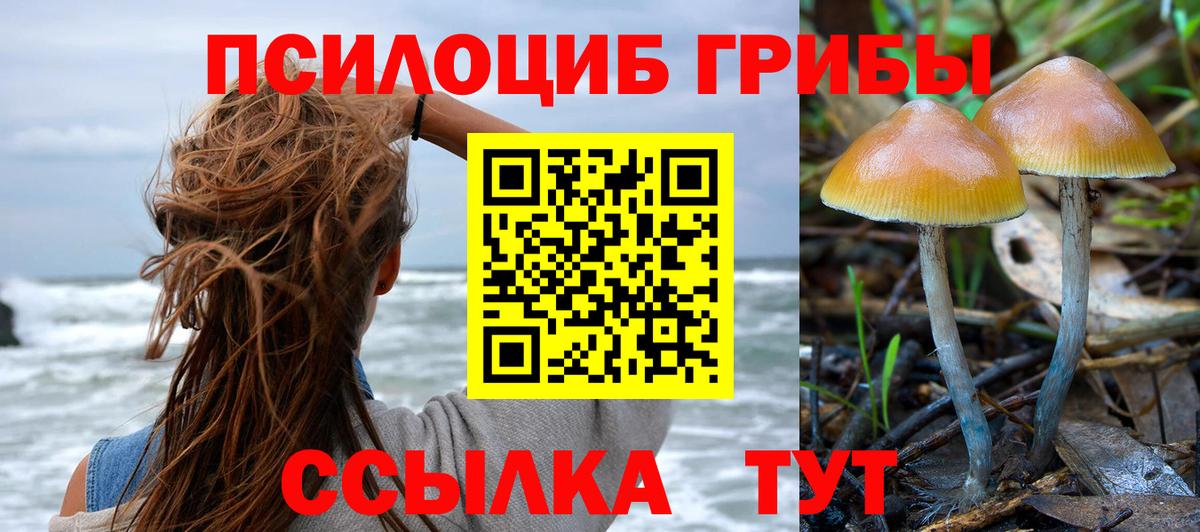 Галлюциногенные грибы прущие грибы  Вход с VPN  Чайковский 