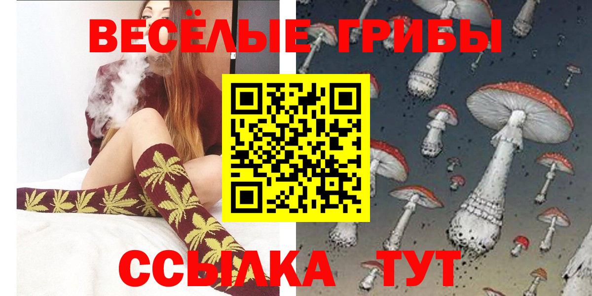 Псилоцибиновые грибы прущие грибы Чайковский