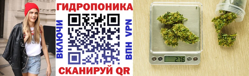 Шишки марихуана VHQ Чайковский